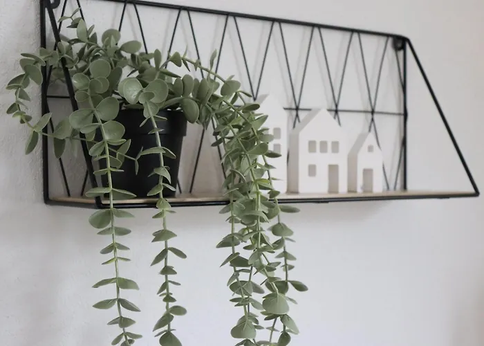 Eifelfinca Дом отдыха *